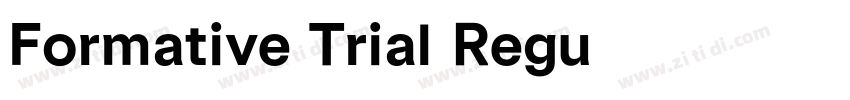 Formative Trial Regu字体转换